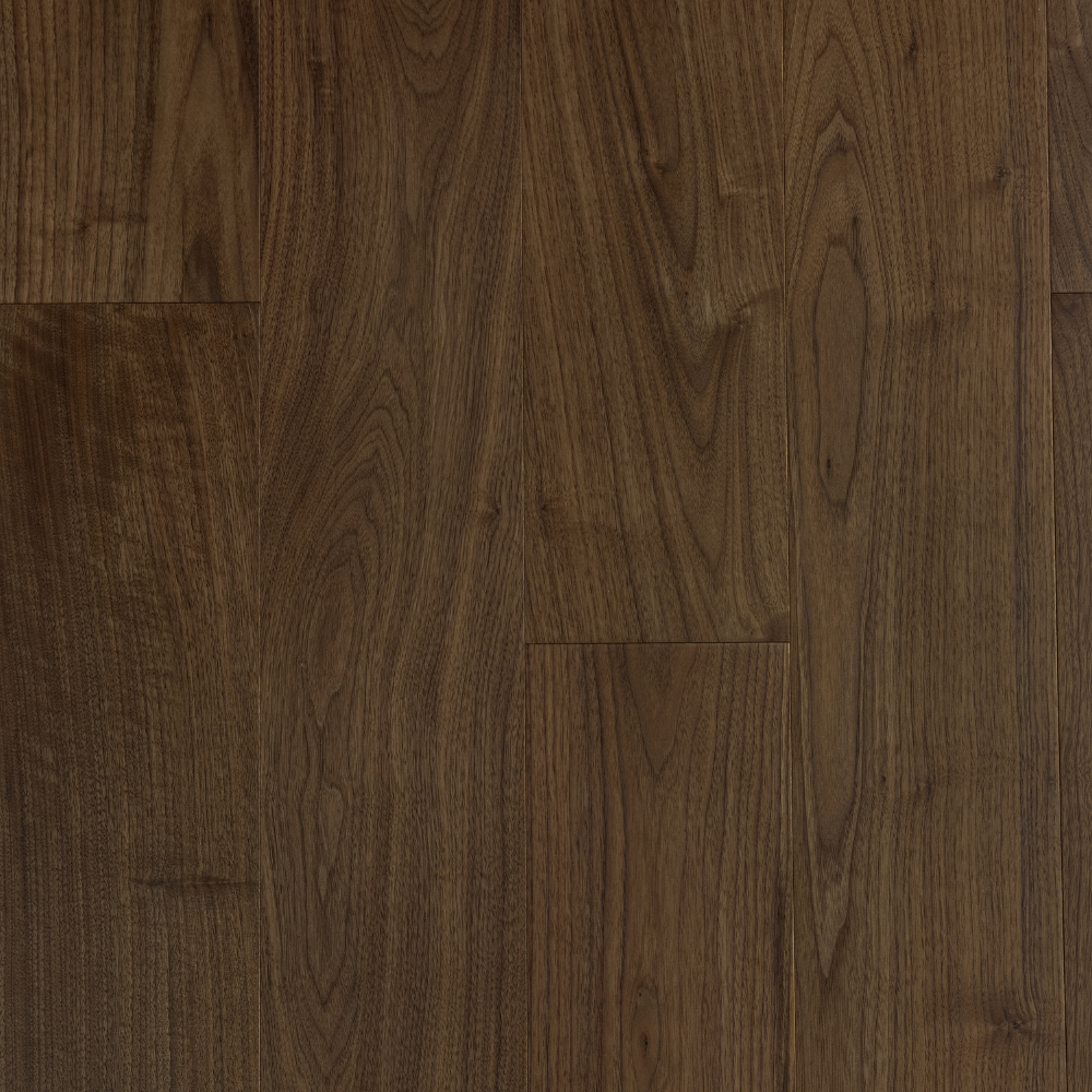 Best in Show - Zebrano