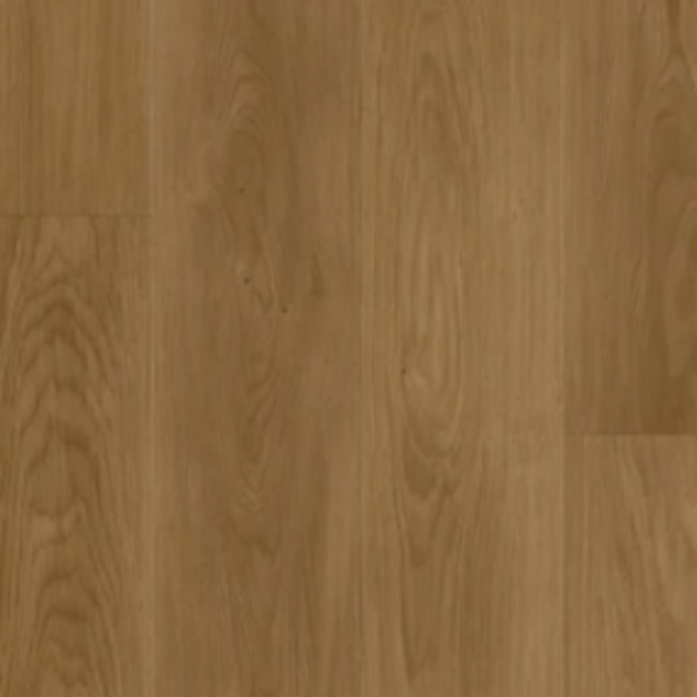 Big Foot - Rainforest Brown