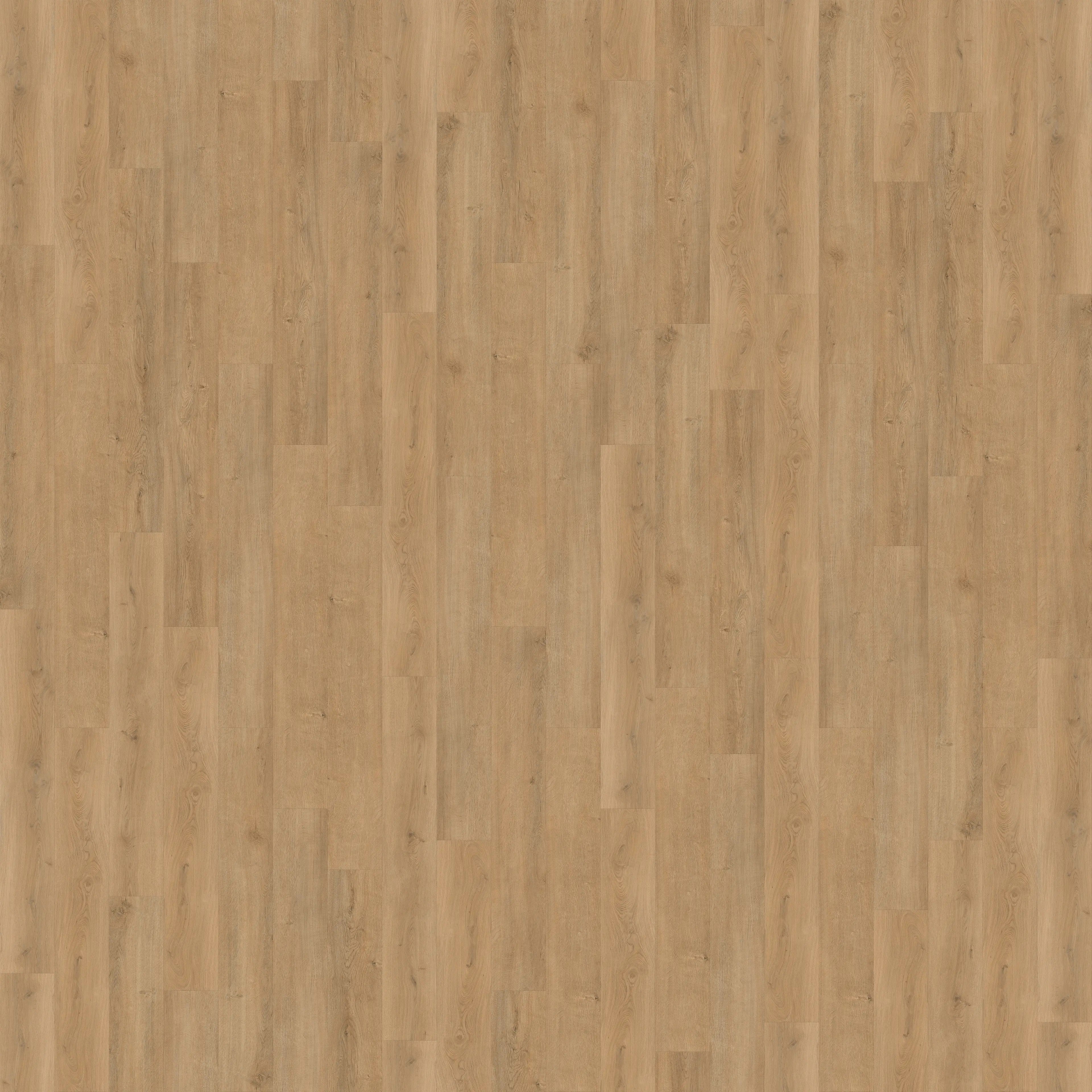 Legends Extra Wide - Catamaran