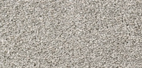 Transformative - Court