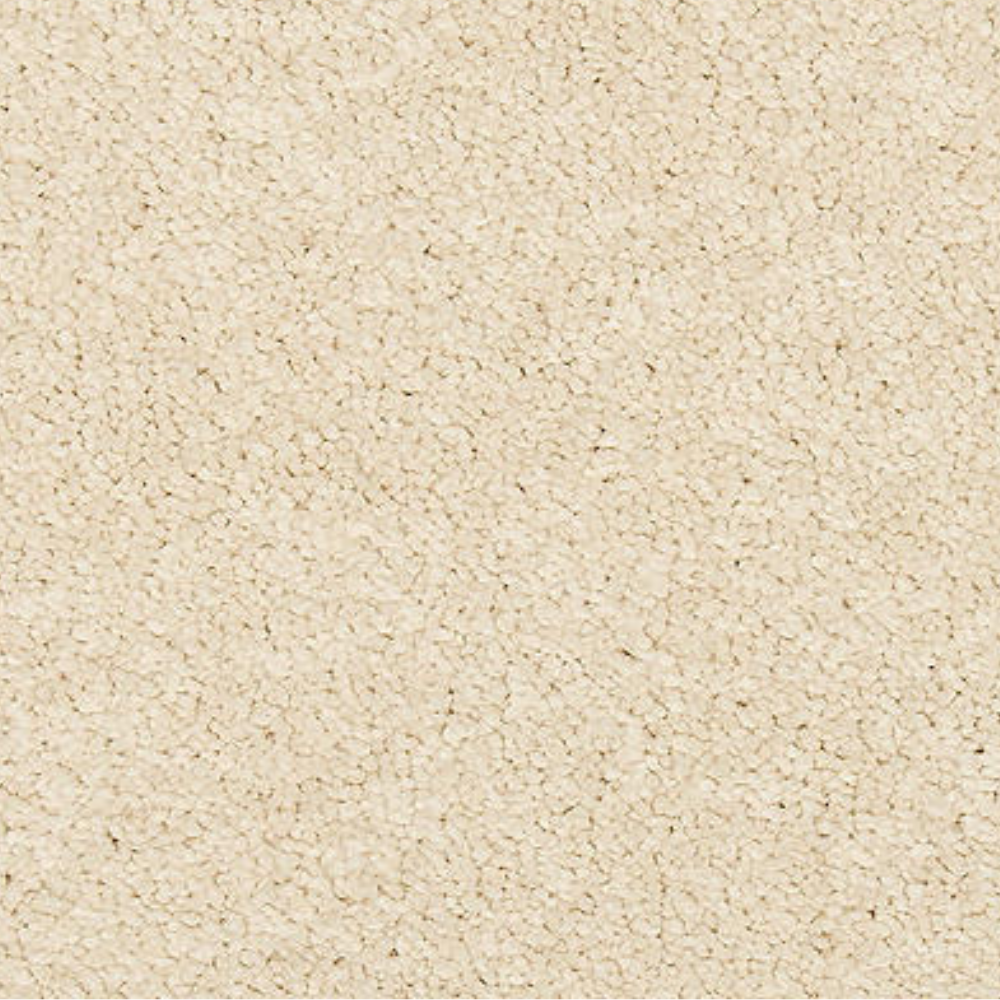 Maison Chic - Cream