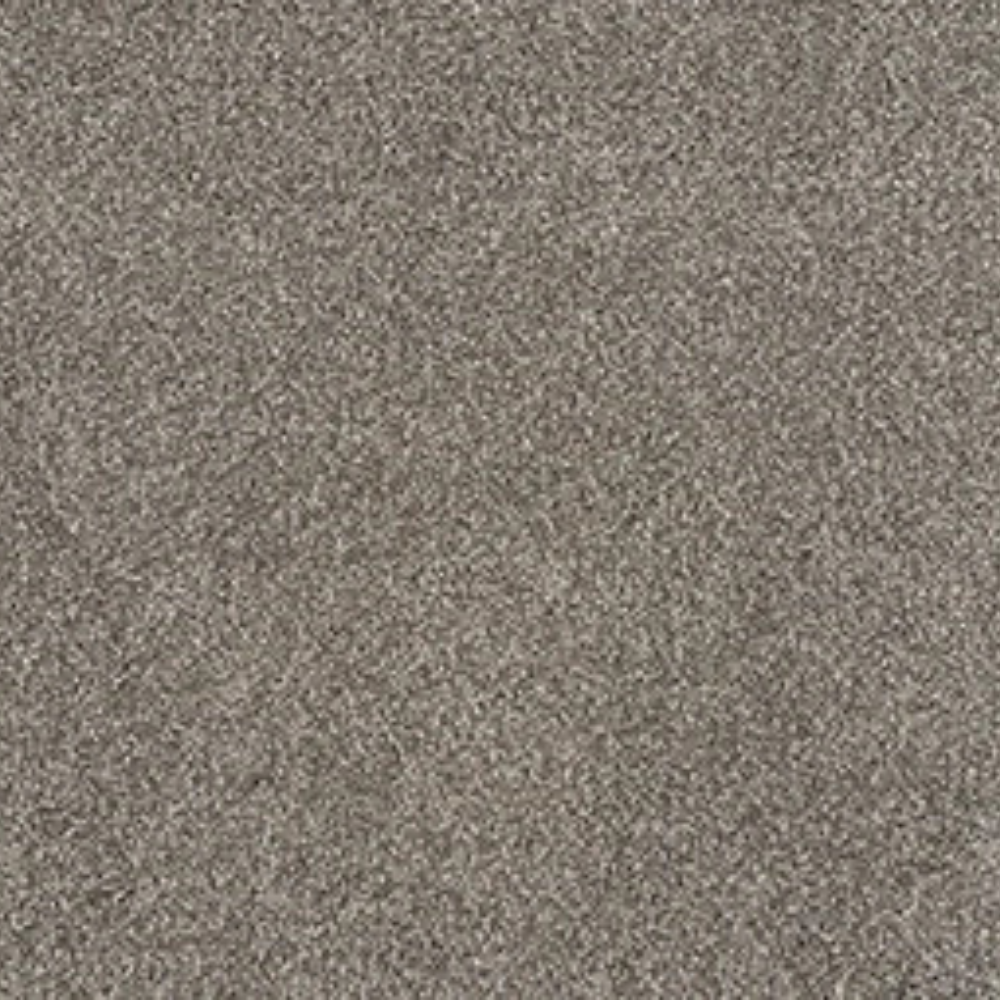 Duke's Choice - Fossil