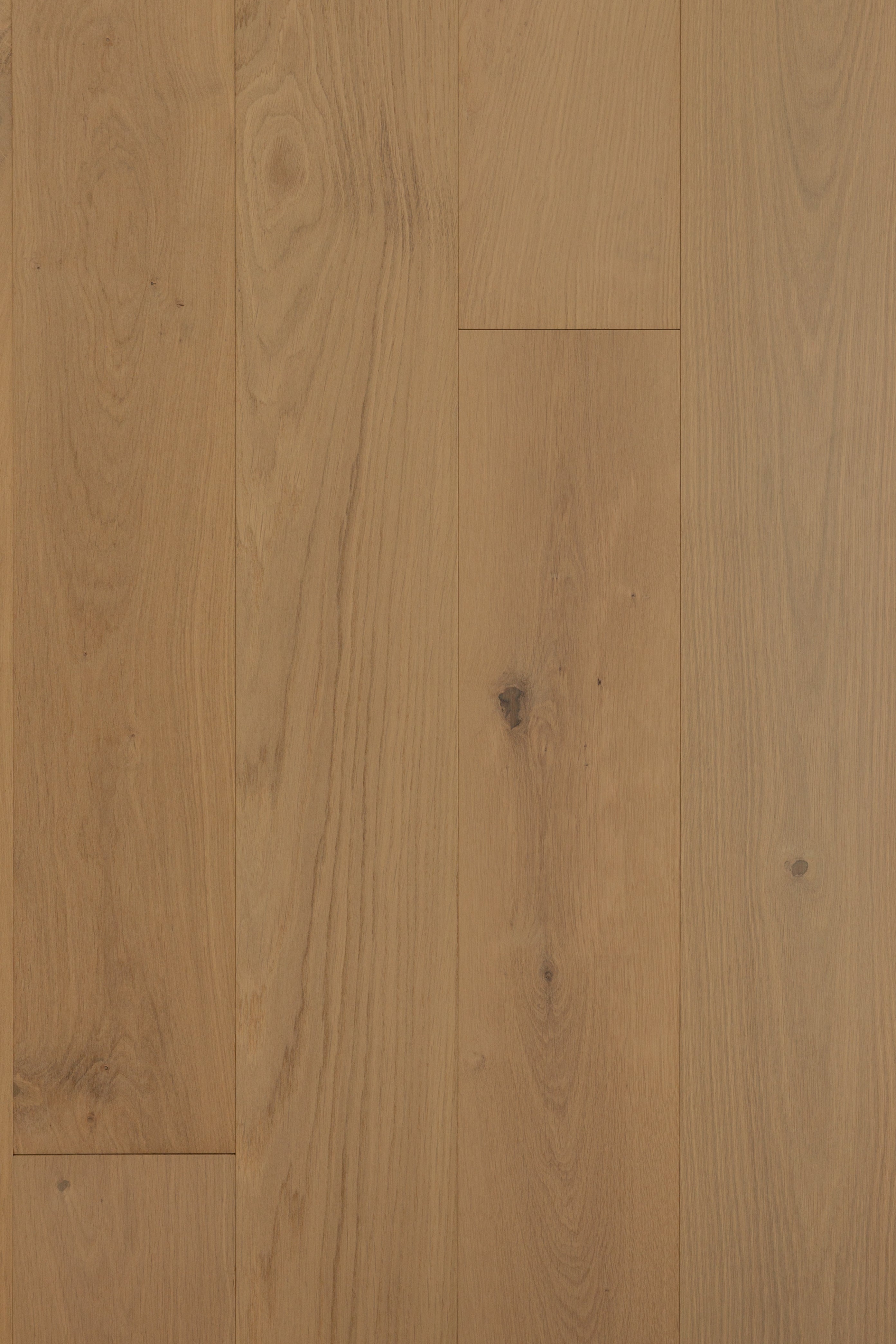 Point Ruston - Royal Oak