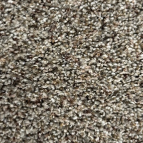 Grand Teton - Backyard