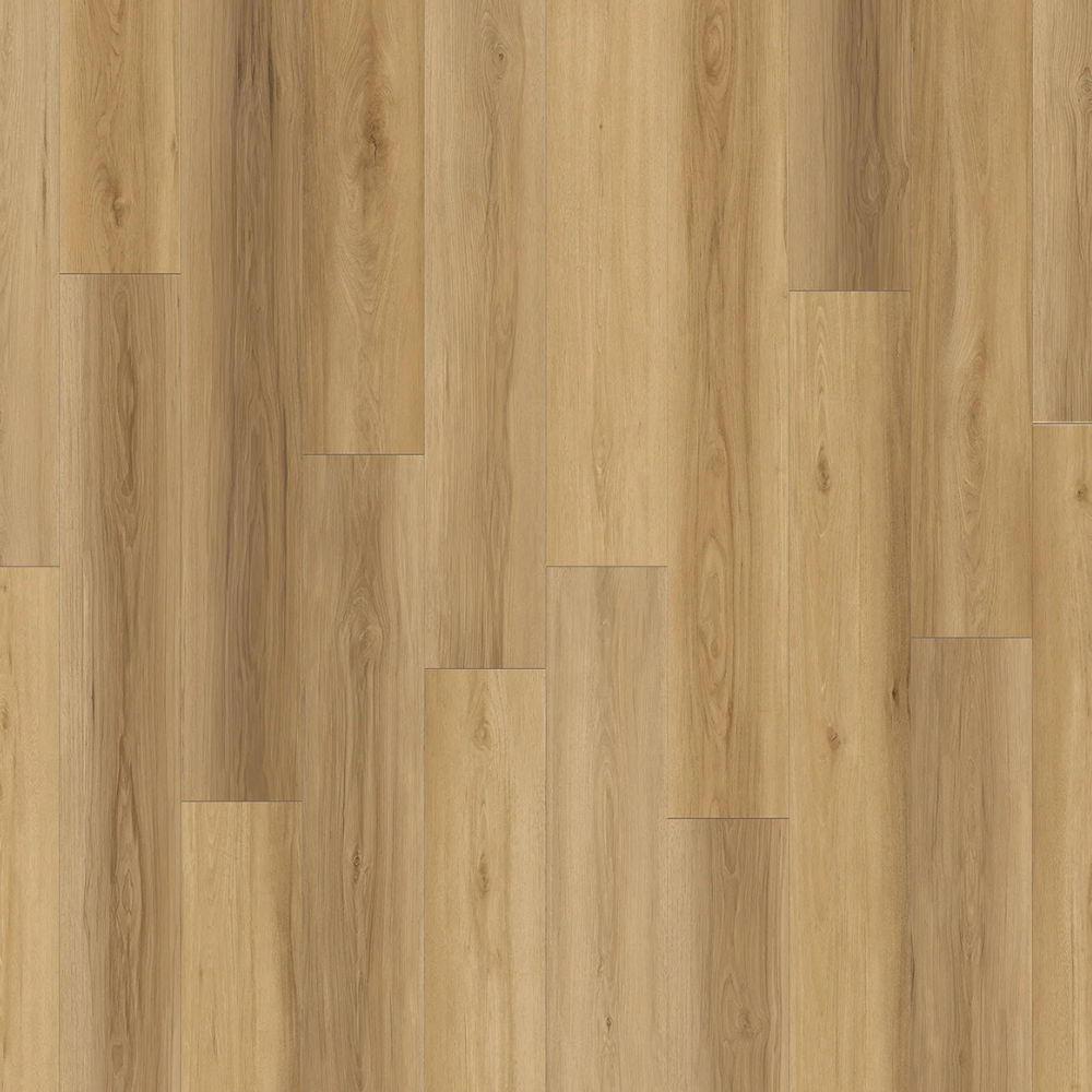 Park Avenue WP - Grandeur