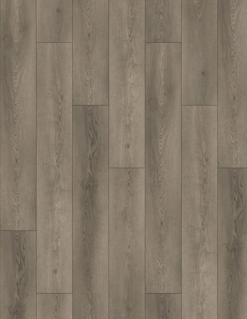 Modern Abode - Graphite Drift