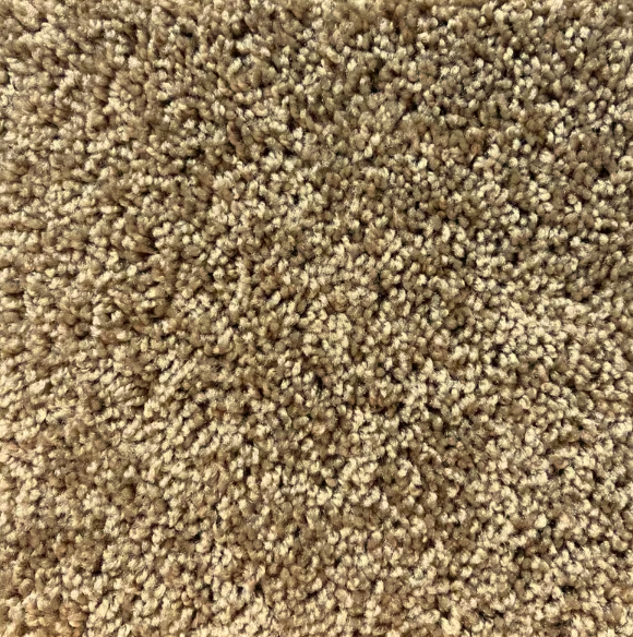 Pirate's Cove 3.0 - Honey Beige