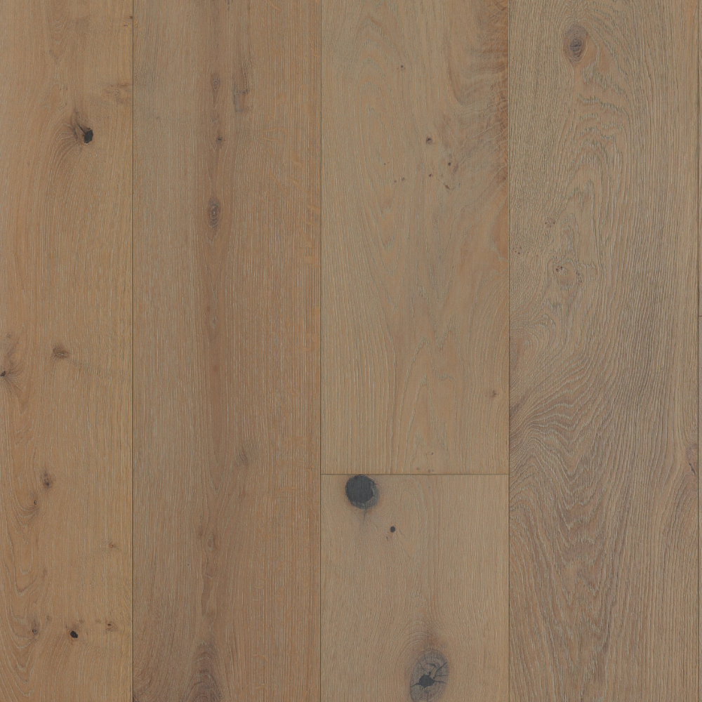 National Treasure - Michelangelo