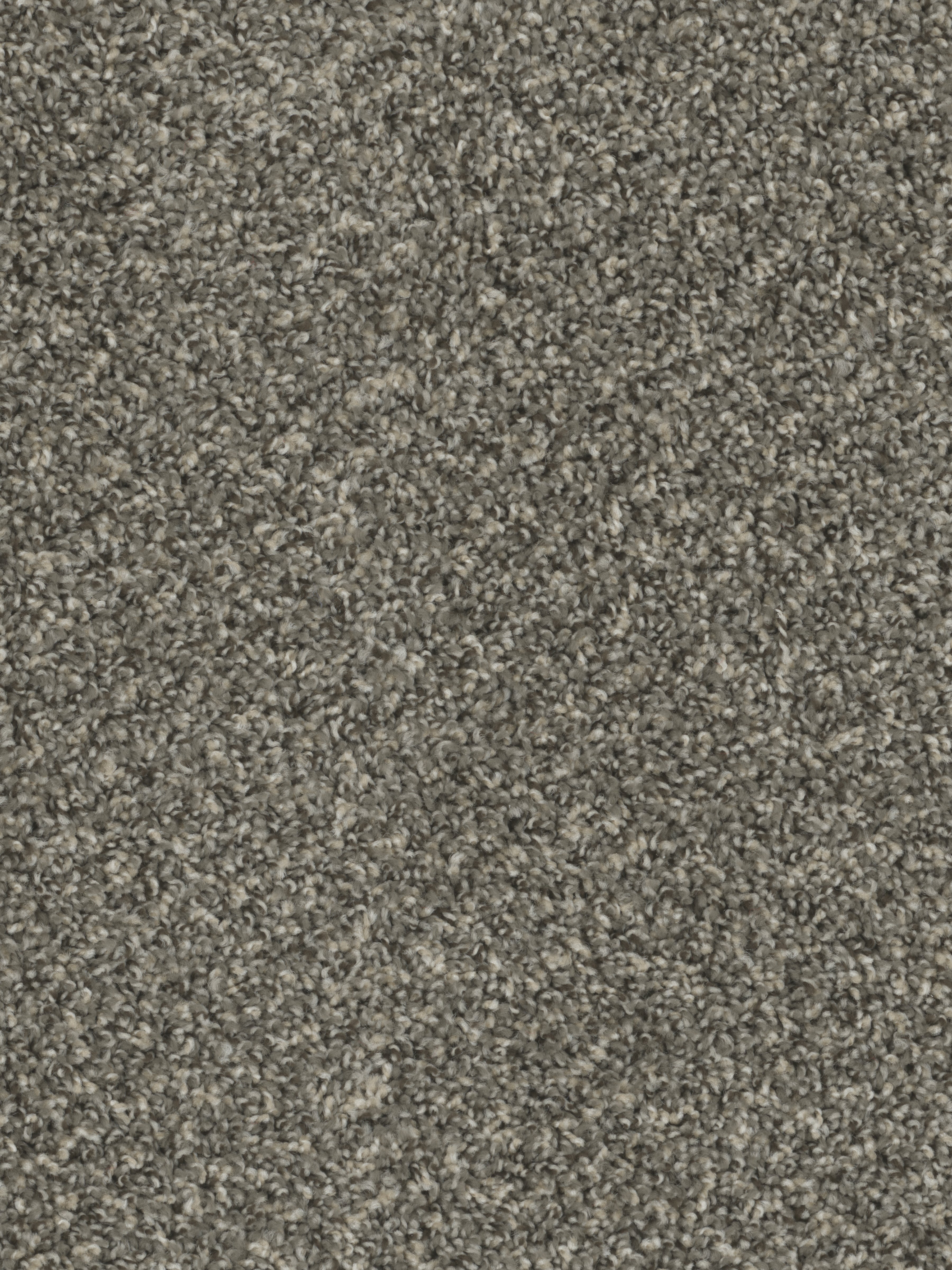 Pirate's Cove 3.0 - Ironside