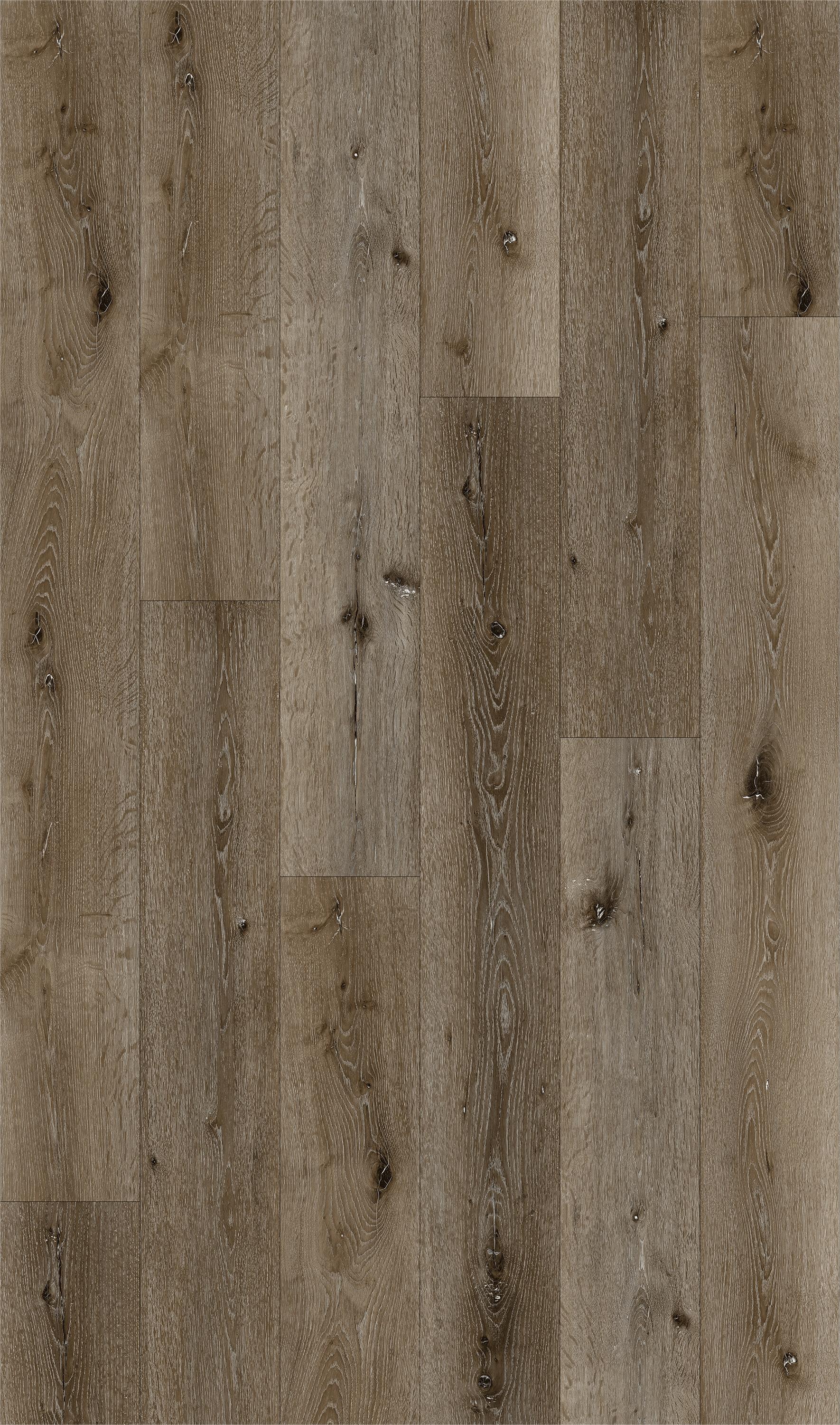 Rockport XII - Terry