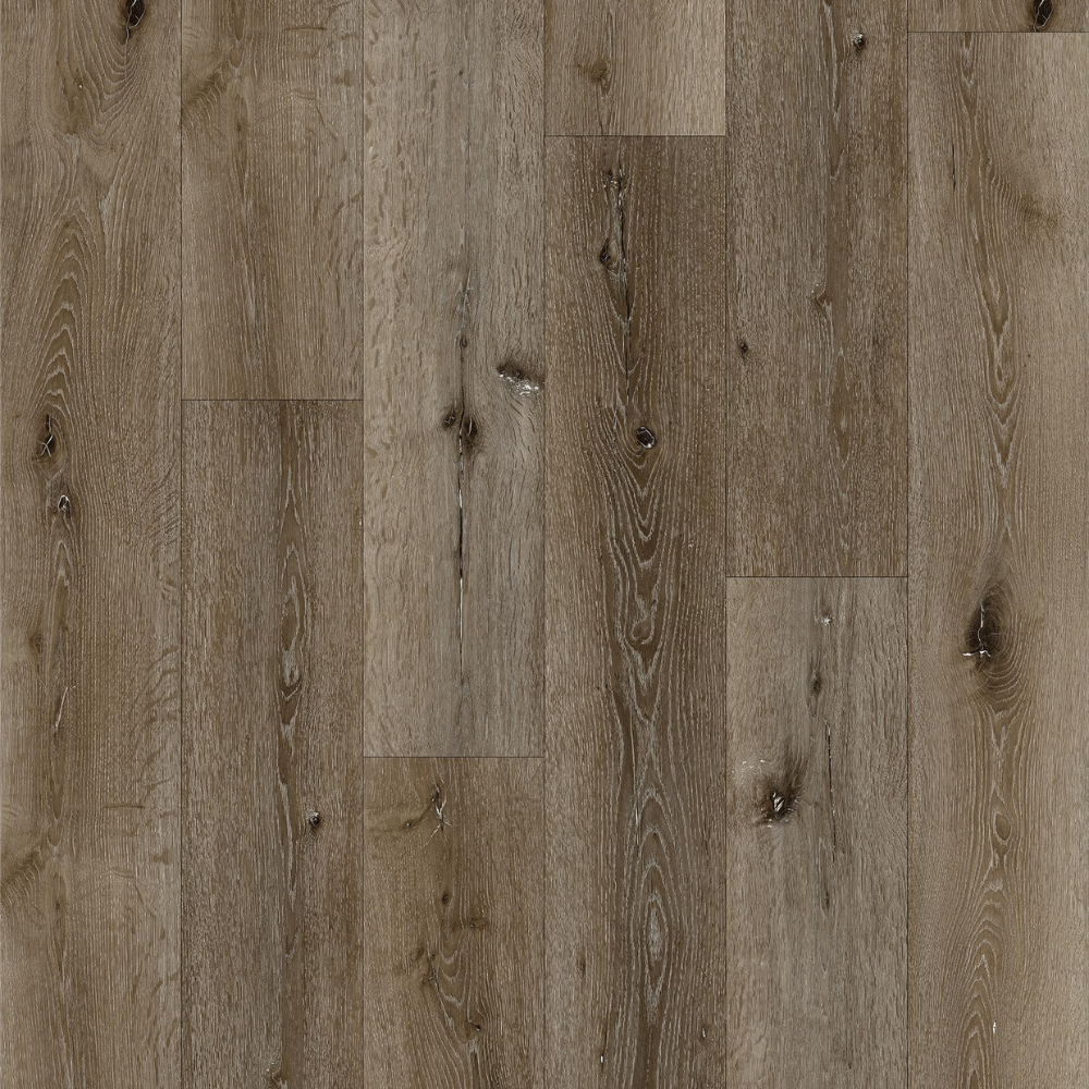 Rockport XII - Terry