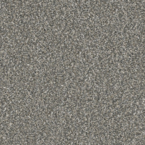 Test Carpet