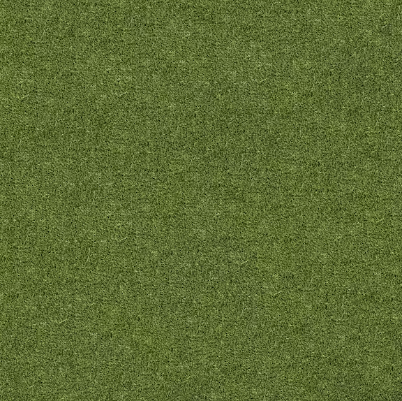 Pro Turf - NW Green