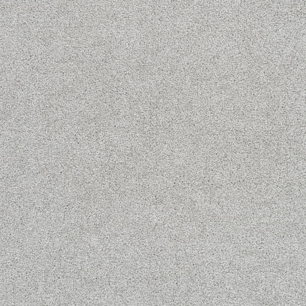 Hatteras - Morning Dove