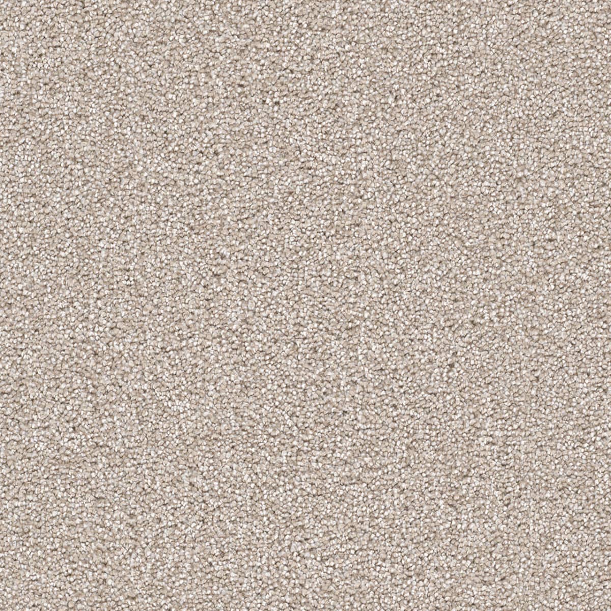 Hatteras - Parchment