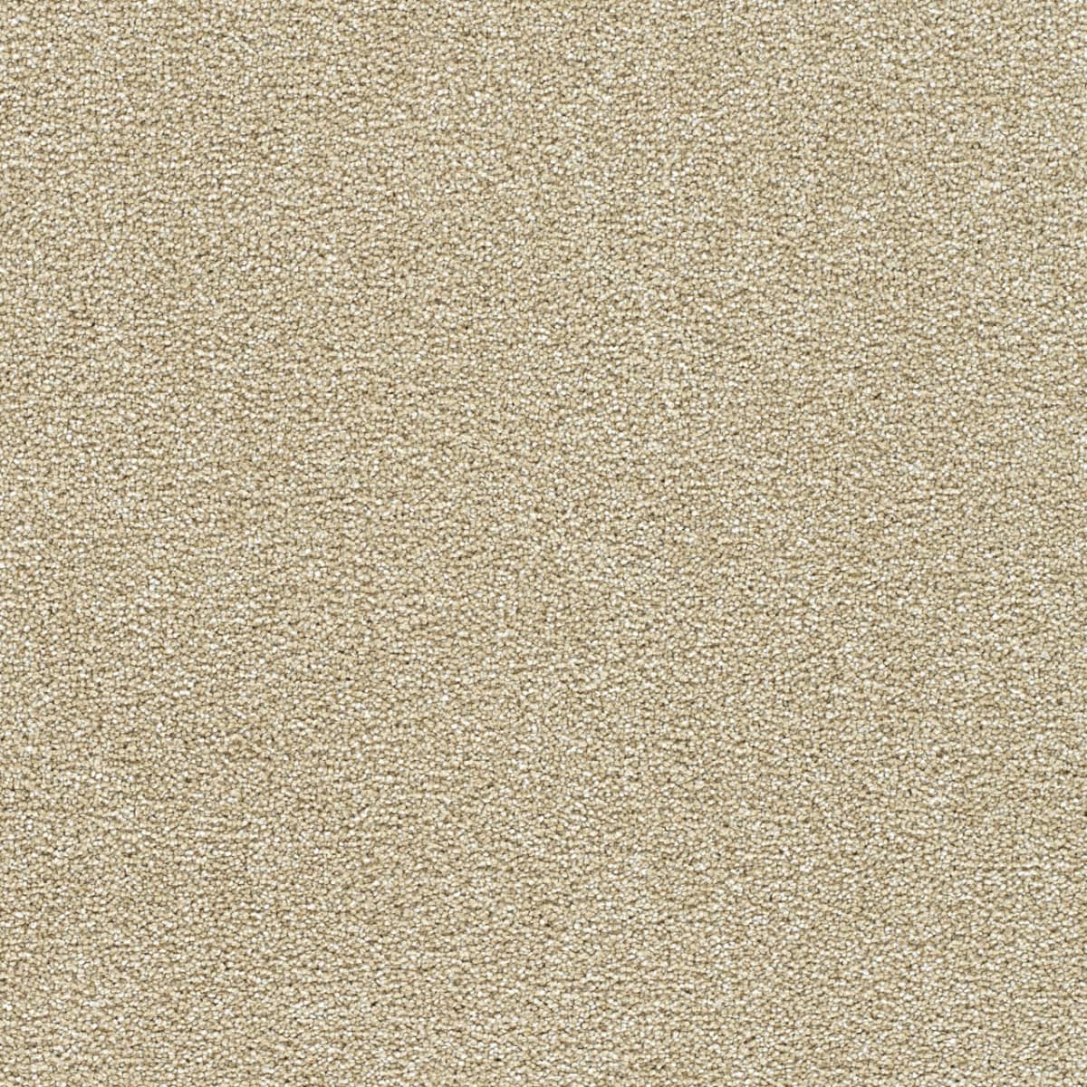 Yellowstone II - Sunflower