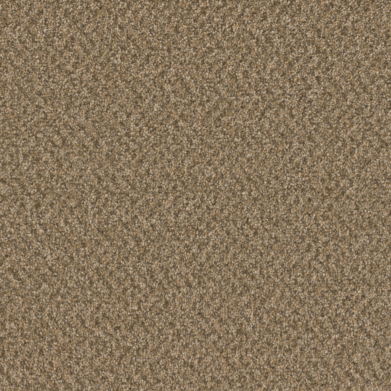 Swashbuckler 3.0 - Aged Leather