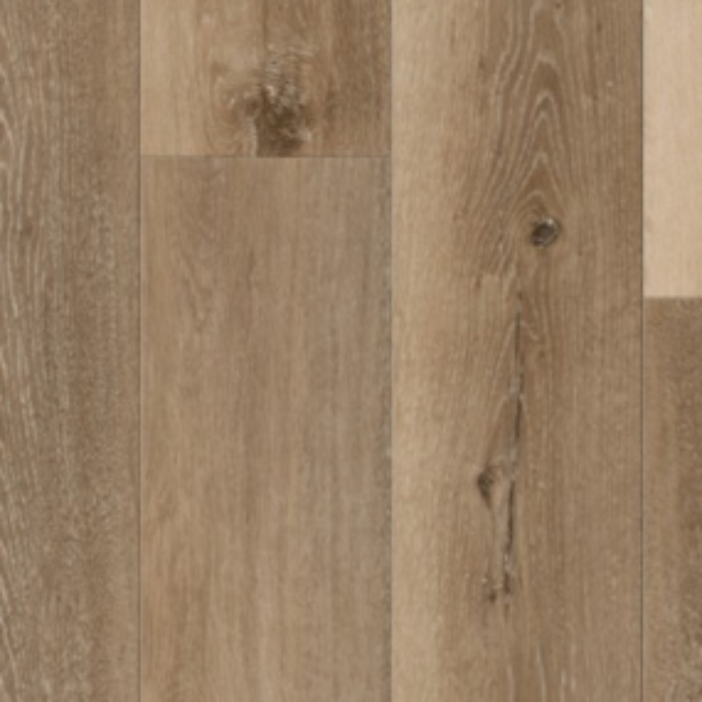 All Star - Free Dive