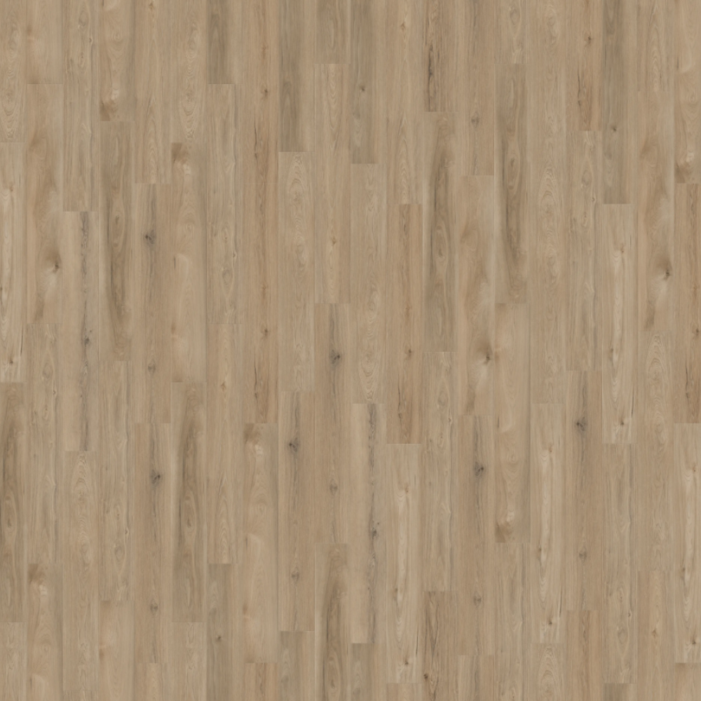 Laguna - Artisan Shoal