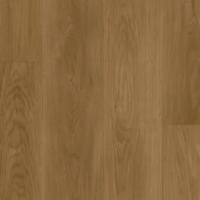 Big Foot - Rainforest Brown