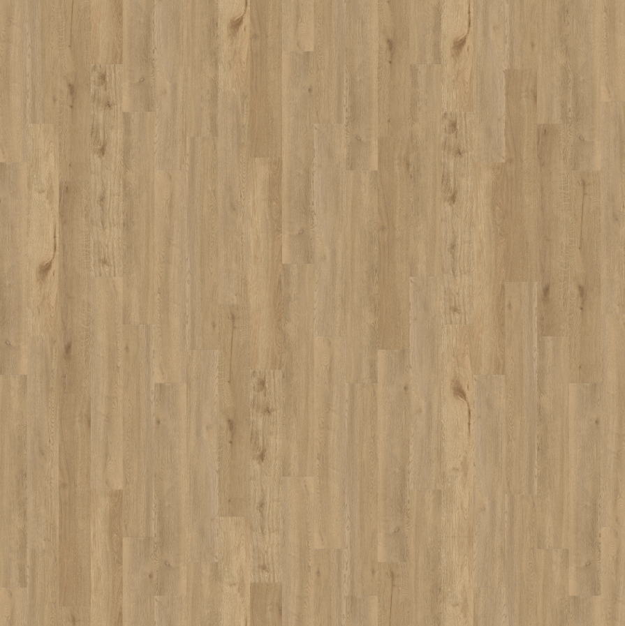 Laguna - Cypress Preserve