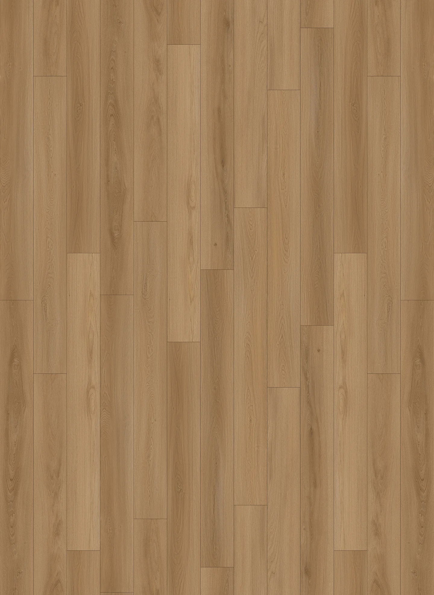 Park Avenue WP - Dazzle