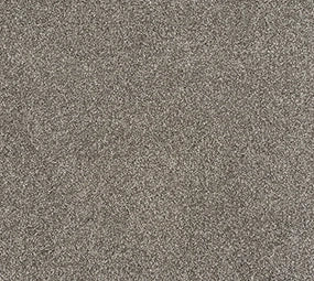 Duke's Choice - Fossil