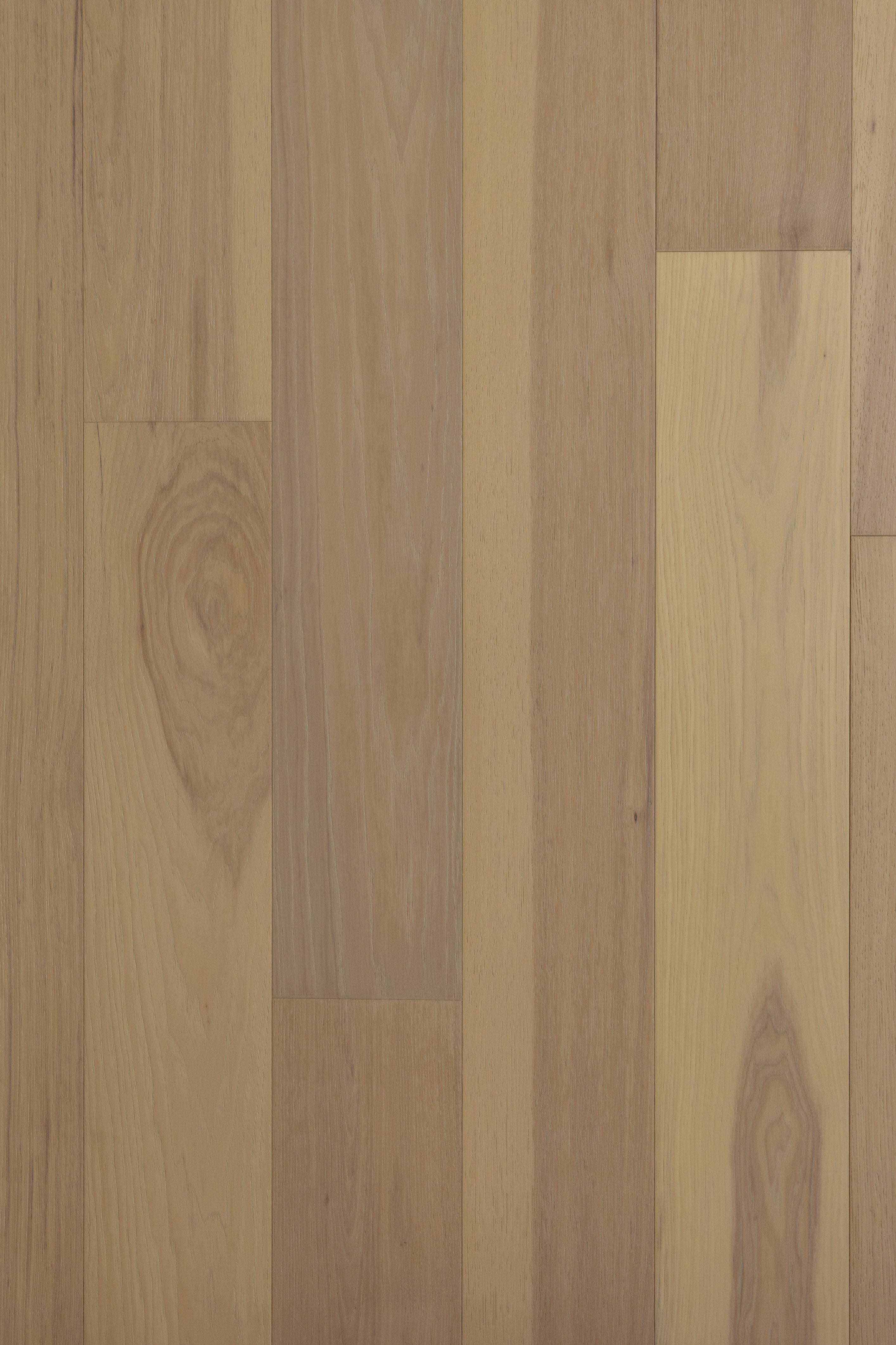 French Quarter - Excellence