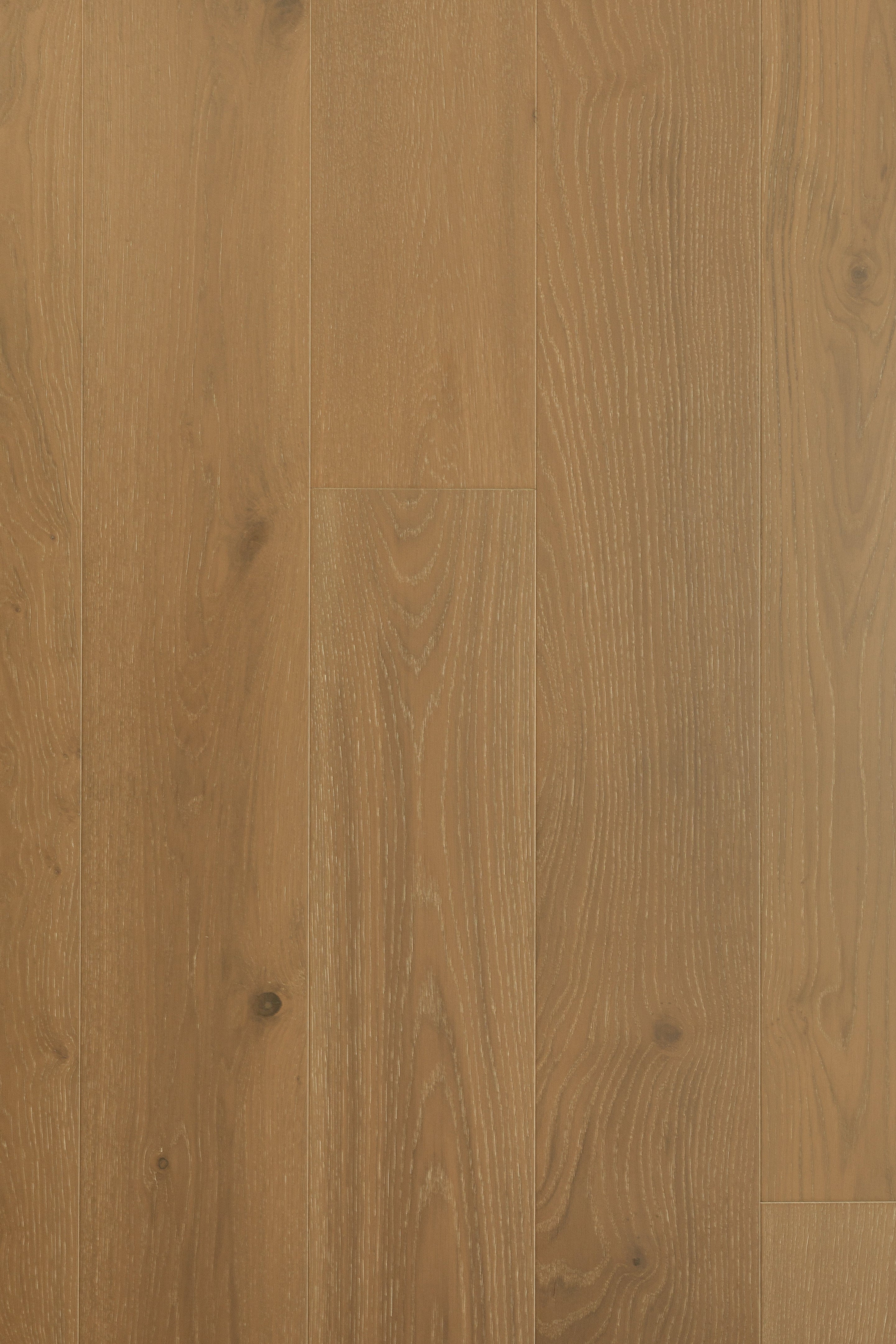 Kingston - Long beach