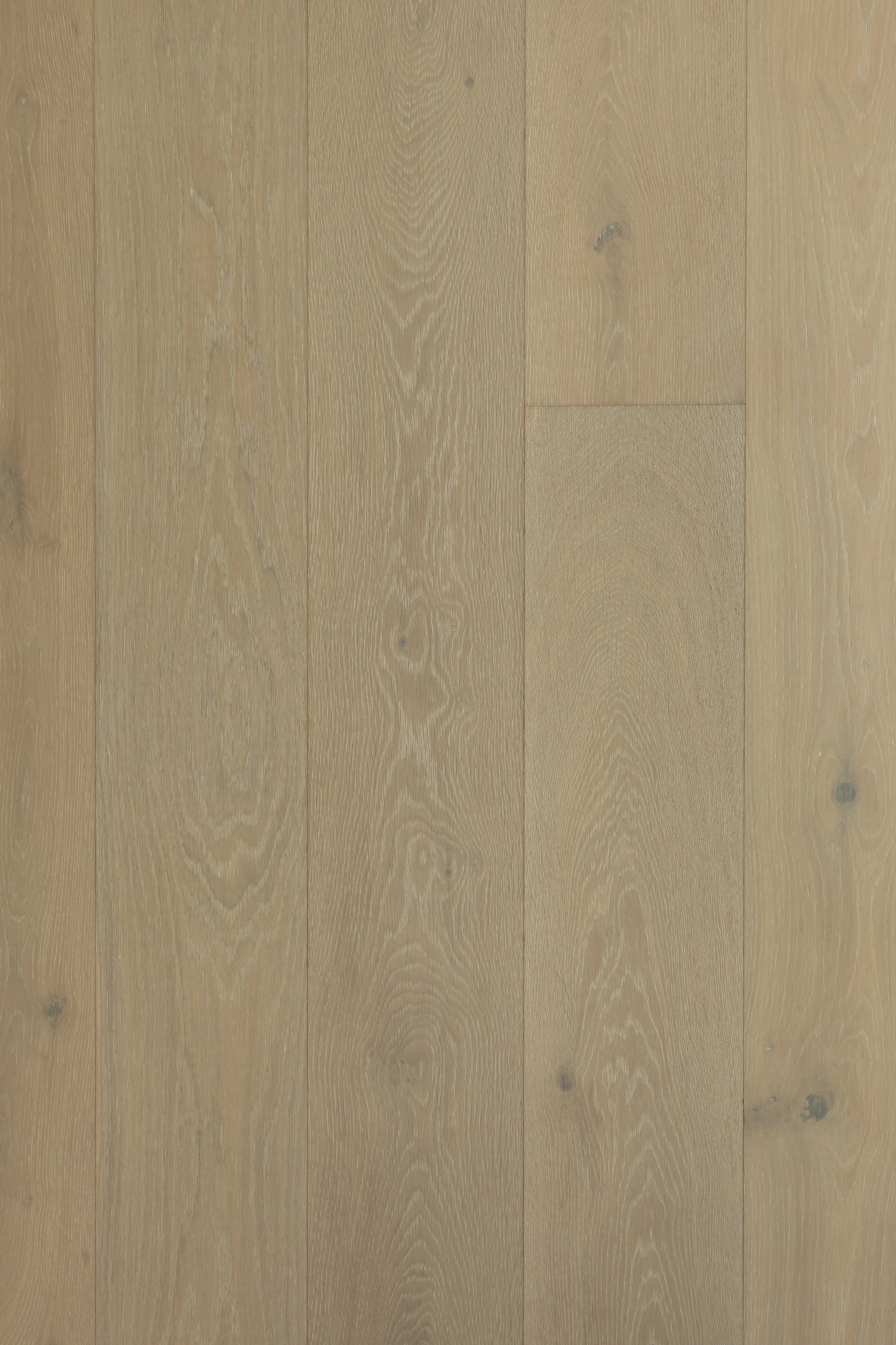 The Grande - Raphael