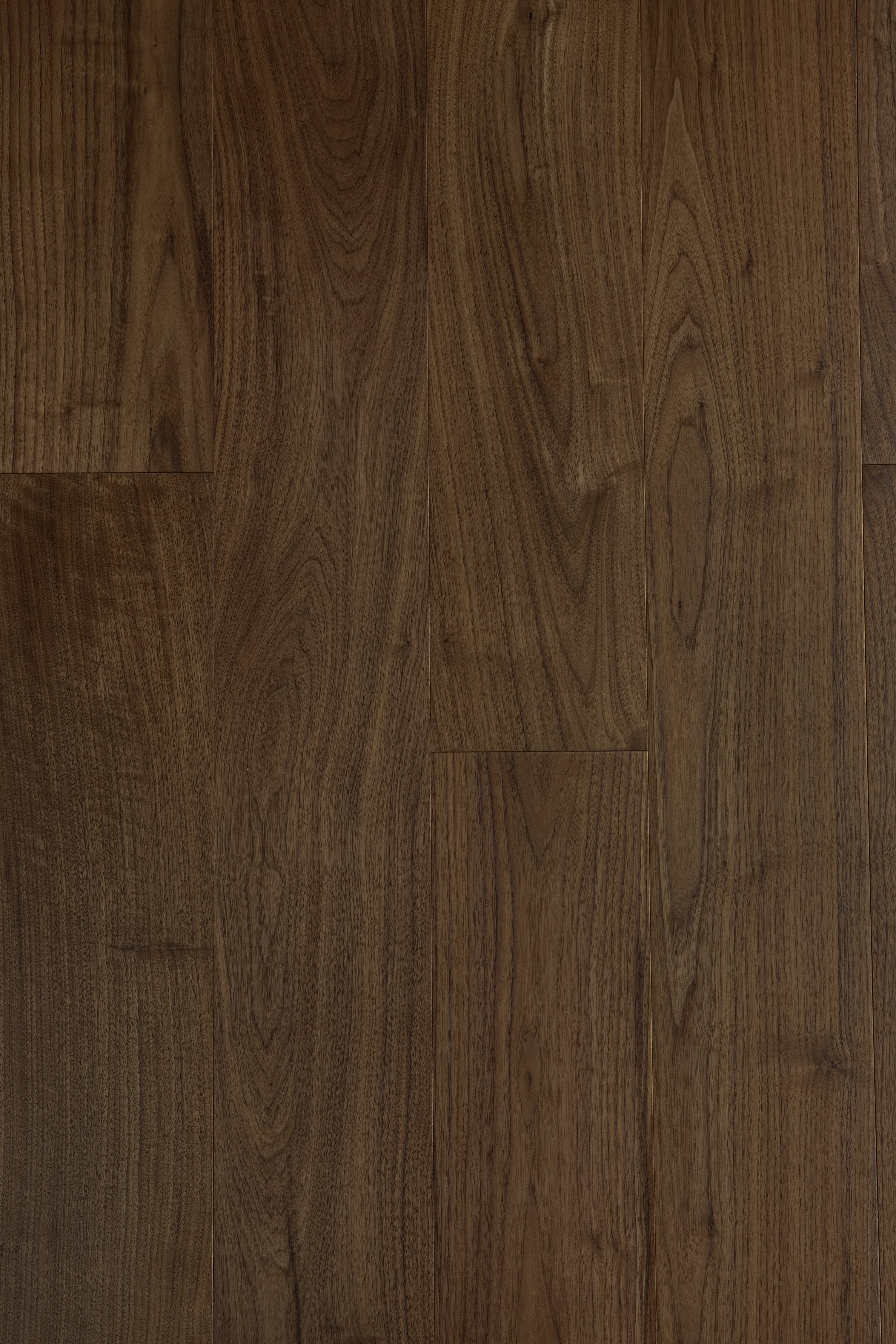 Best in Show - Zebrano