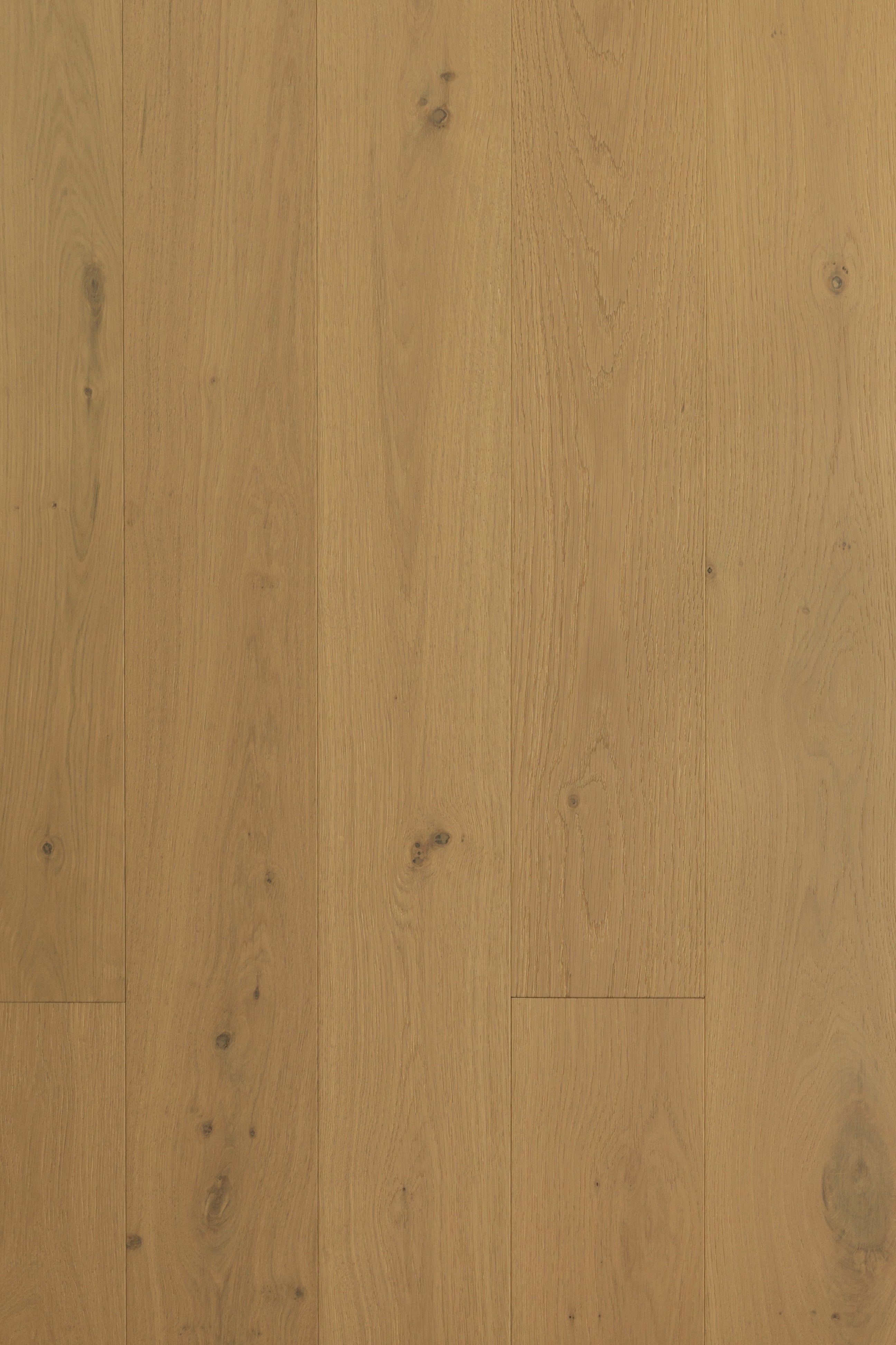 Euro Floor - Gold Beach