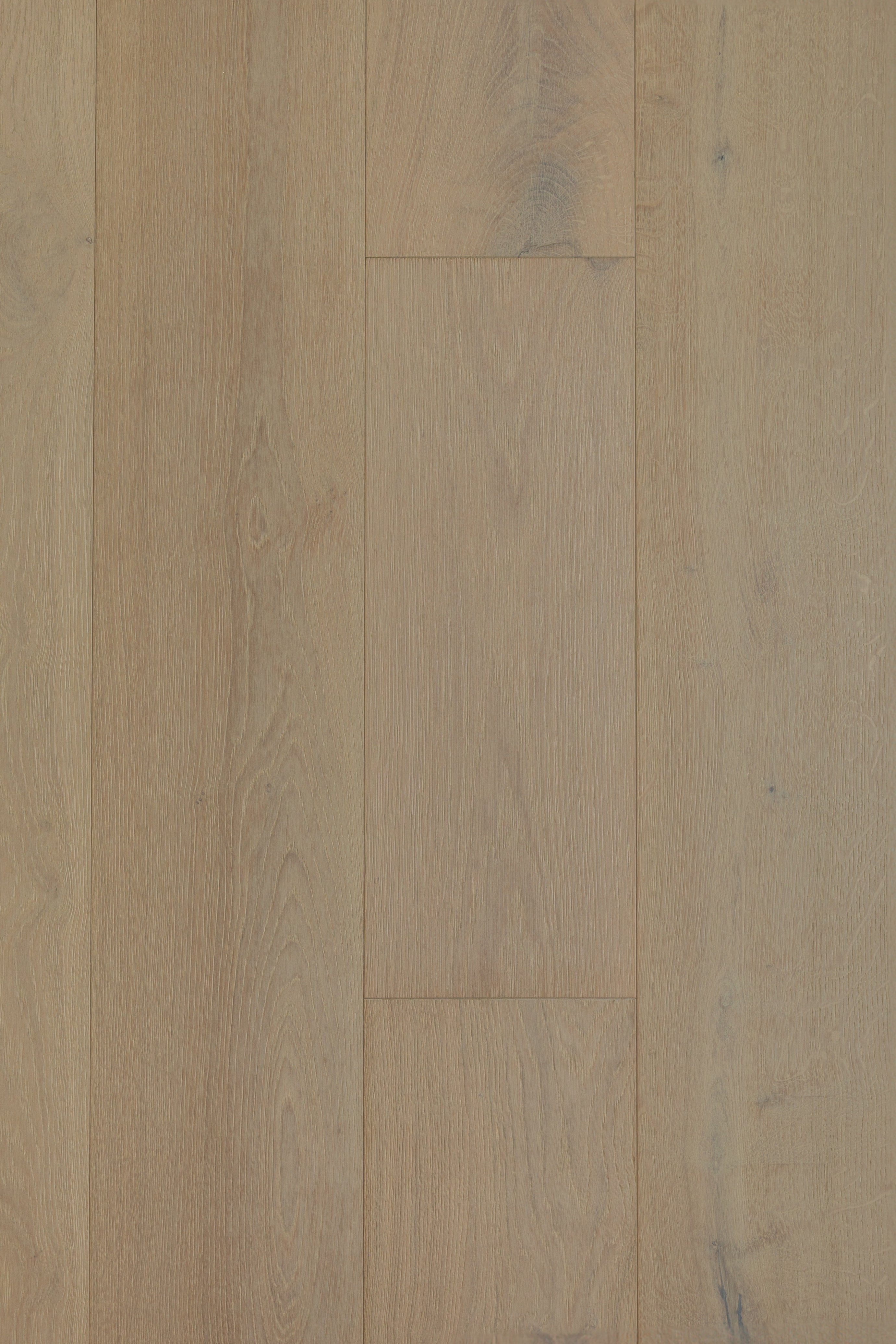 National Treasure - Venus