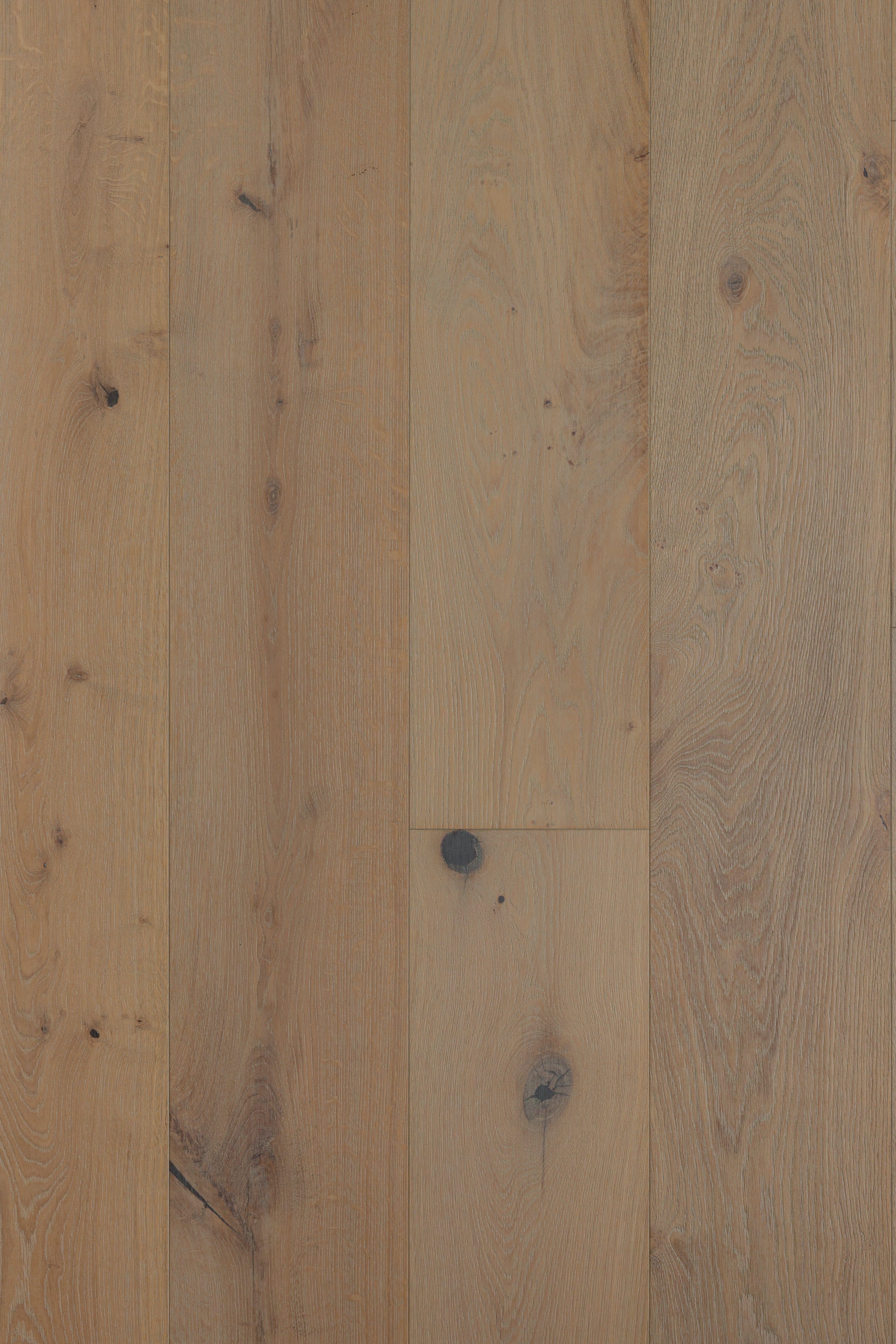 National Treasure - Michelangelo