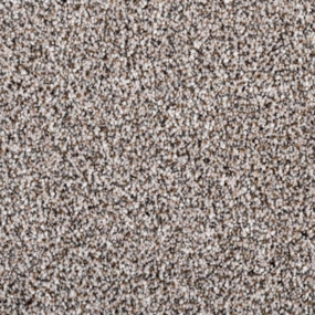 Gladiator - Silver Fox