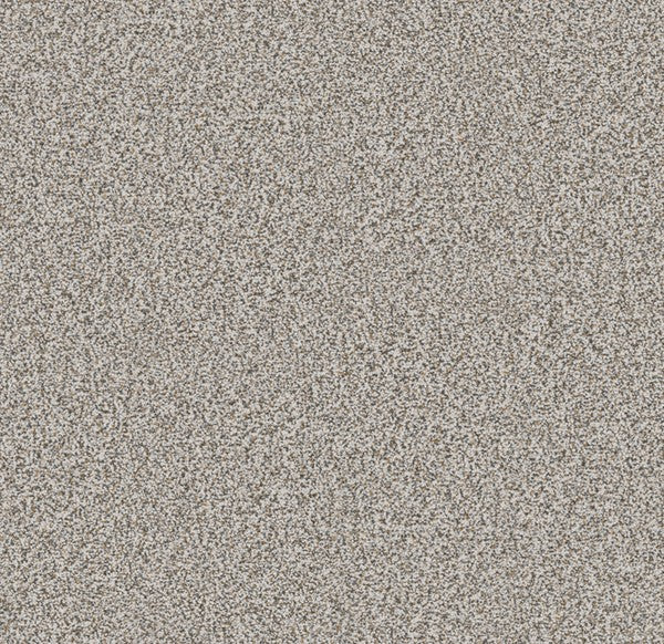 Touch of Imagination - Muse Mediation