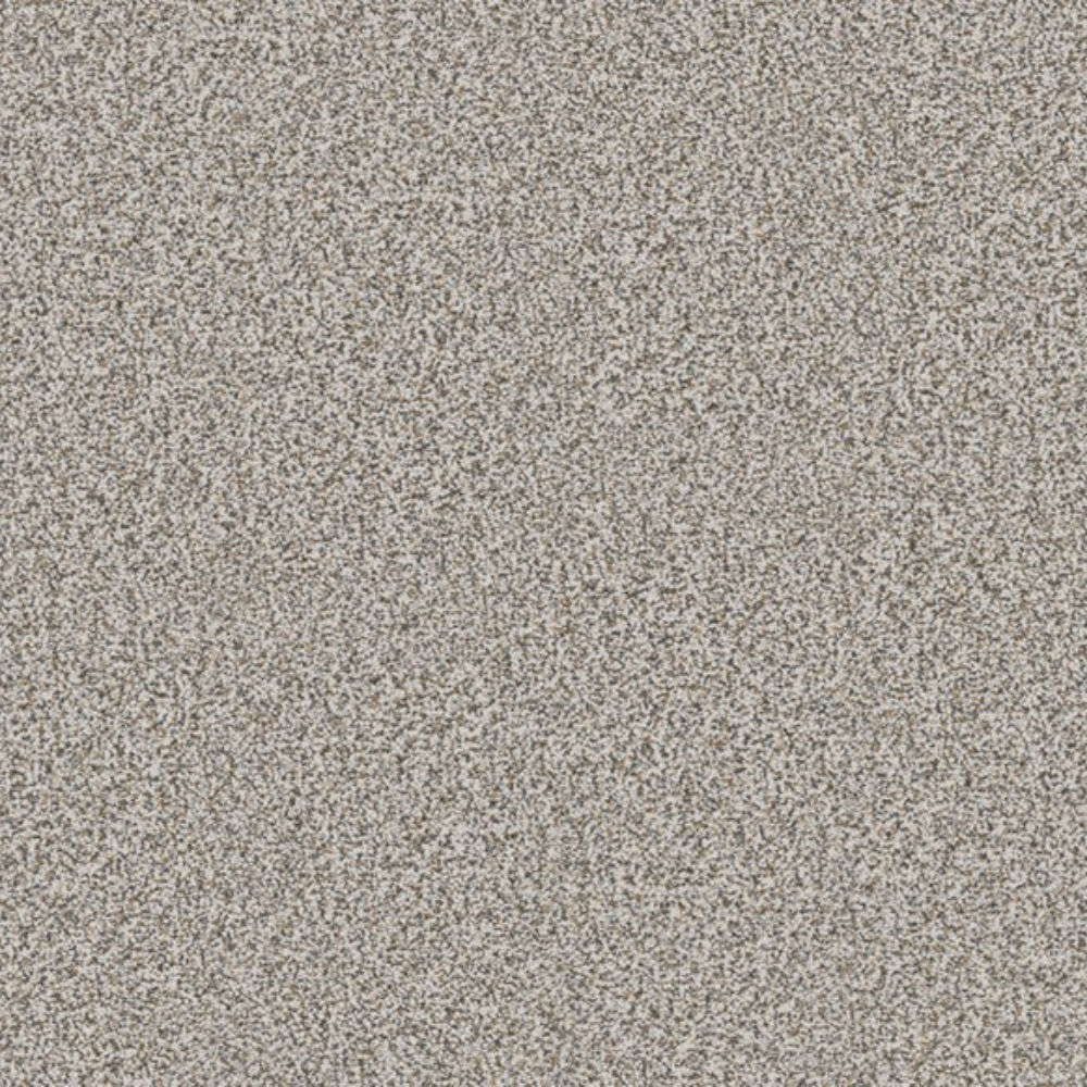 Touch of Imagination - Muse Mediation