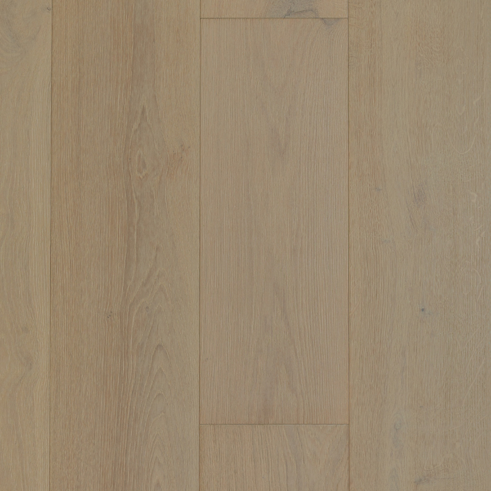 National Treasure - Venus