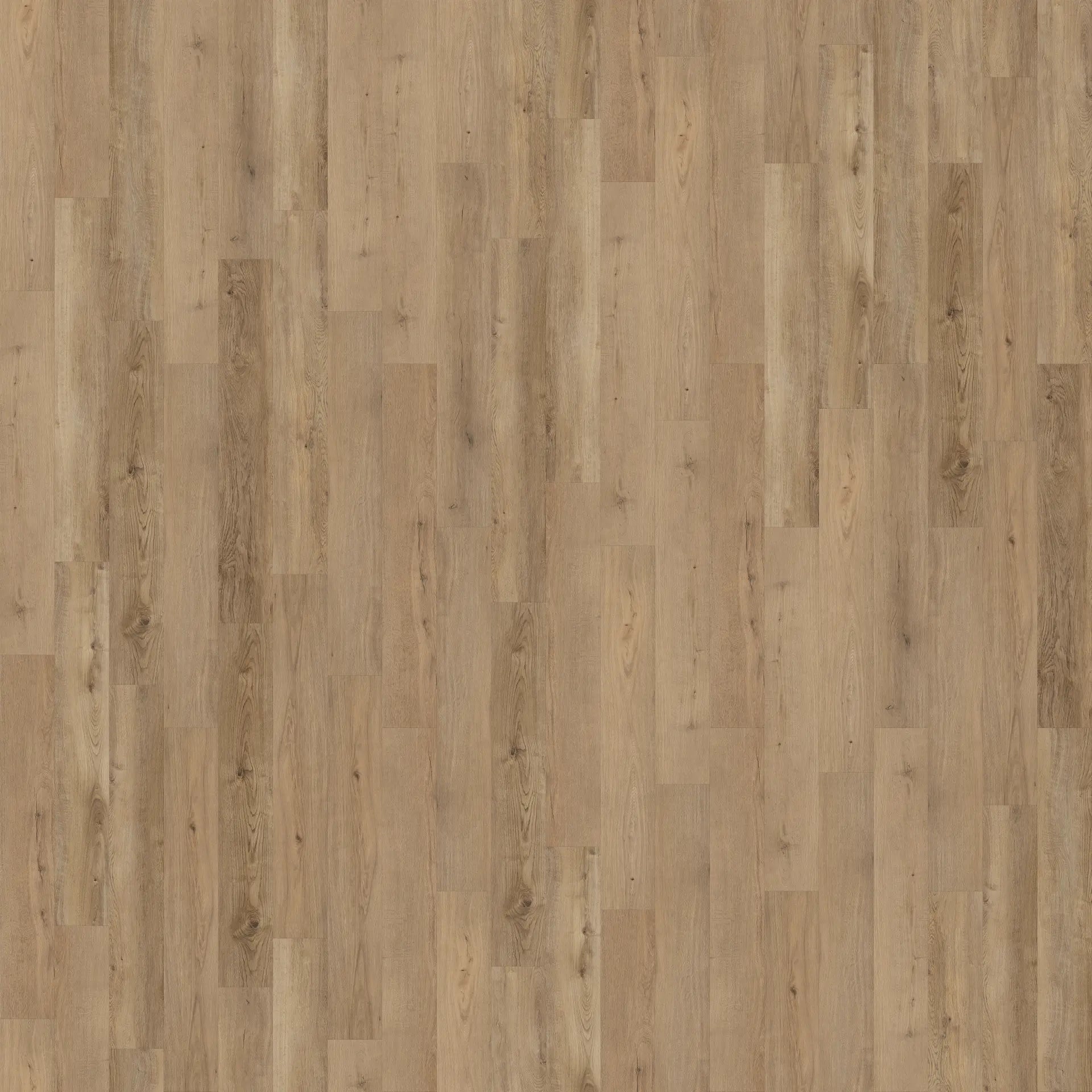 Legends Extra Wide - Oyster Isle