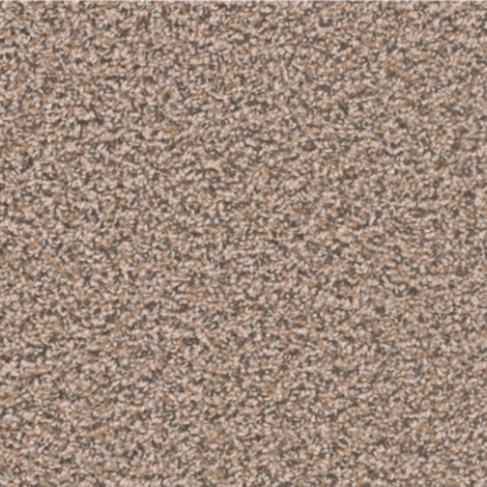 Pirate's Cove 3.0 - Gingerbread