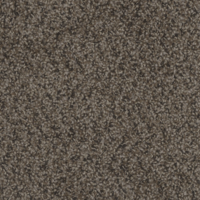 Royal Lexus - Rustic Charm