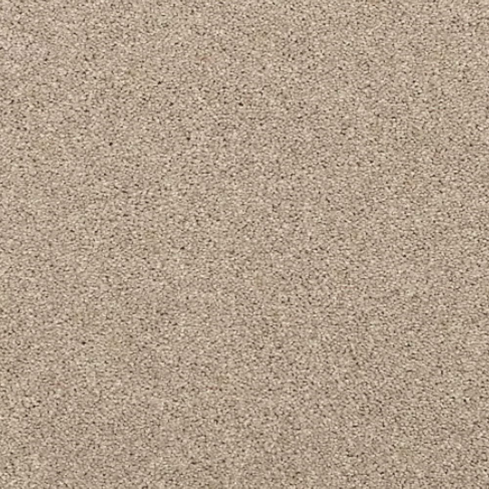 Generations - Sandy Beach