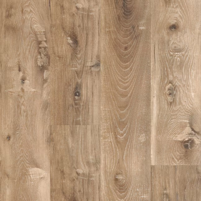 Laid Back Glue Down - Seaboard Oak