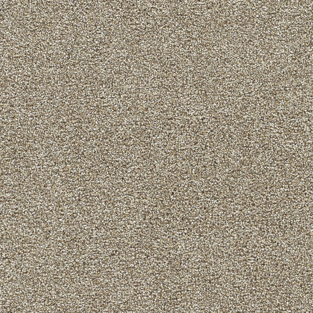 Yellowstone II - Pine Log