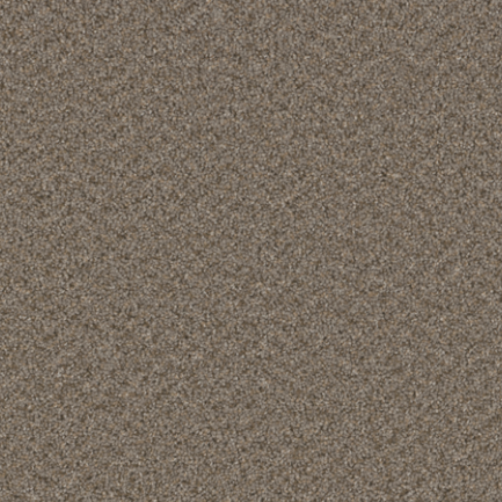 Swashbuckler 3.0 - Cinder