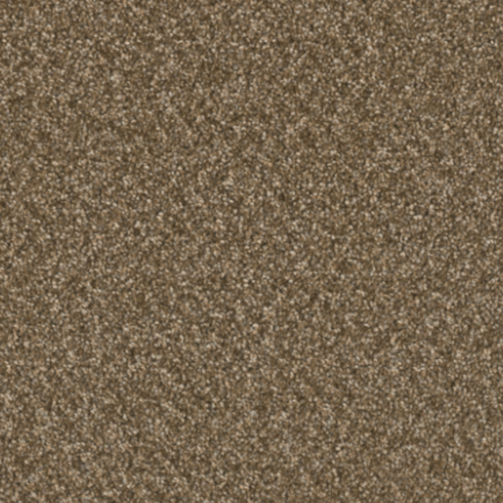 Swashbuckler 3.0 - Mocha Beige